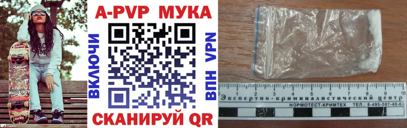 Альфа ПВП СК Кемь