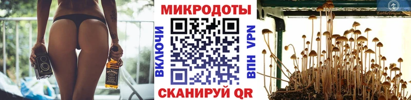 хочу Кемь Псилоцибиновые грибы ЛСД